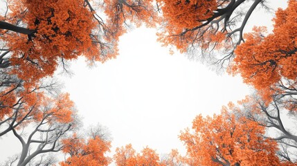 Group Of Gray Trees Surrounding A White Empty Space In The Center White Background With Text Area Trees With Vibrant Orange Leaves Ai Generated Image