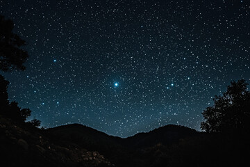 Fototapeta premium Starlight Background