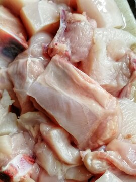 Raw Bresse chicken meat is the most testier food item in the world. Different parts of chicken ready to cook delicious and famous recipe like peri-peri, fried, Pollo al acuyo, Karaage, Ayam goreng
