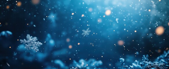 The Winter Snowflakes in Motion