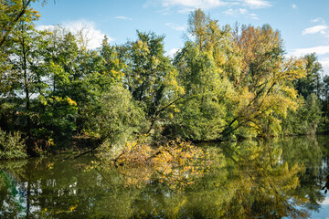 Automne au bord de l'eau