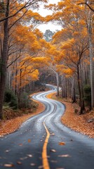 Obraz premium Autumn Road Through the Trees - A Photo