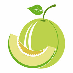 Honeydew fruit vector  illustration 