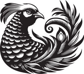 Golden pheasant vector
