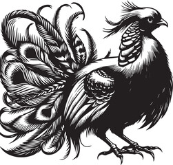 Golden pheasant vector
