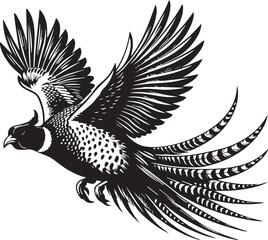 Golden pheasant vector