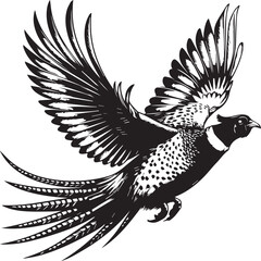Golden pheasant vector