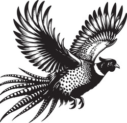 Golden pheasant vector