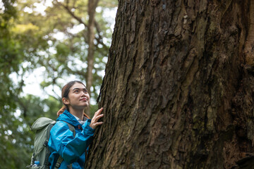 Young Woman Exploring Forest, Wearing Blue Jacket, Touching Large Tree Trunk, Connecting with...