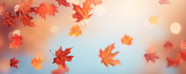 Obraz premium Golden Autumn Leaves Falling