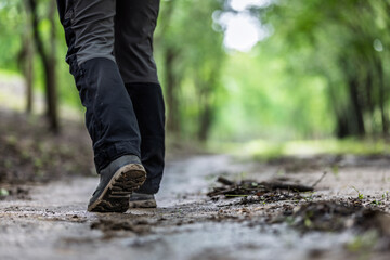 Hiker Walking Through Forest Trail: Nature Exploration, Outdoor Adventure, and Environmental Connection