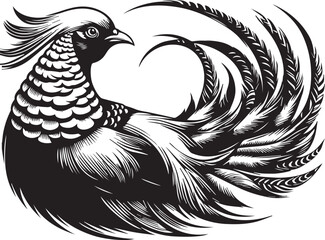 Golden pheasant vector