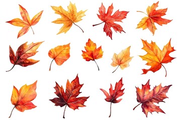 Vibrant Autumnal Watercolor Leaves Scattered in Natural Pattern on White Background