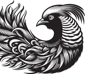 Fototapeta premium Golden pheasant vector