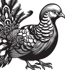 Fototapeta premium Golden pheasant vector