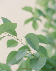 Young African Child Soldier in a Jungle Setting.