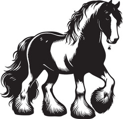 Shire horse vector