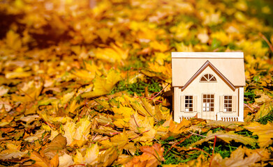 The symbol of the house stands among the fallen autumn leaves
