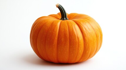Obraz premium Orange musque de Provence pumpkin against a white backdrop