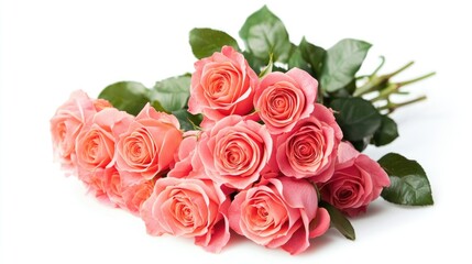 Vibrant bouquet of fresh pink roses isolated on a white backdrop