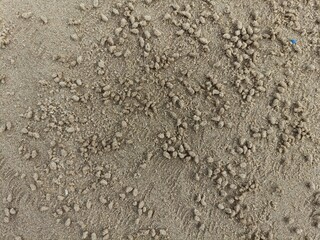 This beautiful image captures a pristine sandy beach, where gentle ocean waves kiss the shore under a bright blue sky.