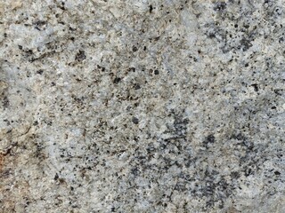 This image features a versatile concrete background, showcasing a textured surface that highlights the raw and industrial beauty of concrete.