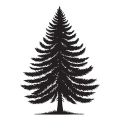 Fototapeta premium pine tree vector silhouette
