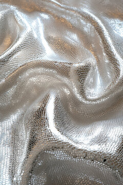 Snakeskin Silver Images – Browse 1,368 Stock Photos, Vectors Snakeskin Silver Images – Browse 1,368 Stock Photos, Vectors