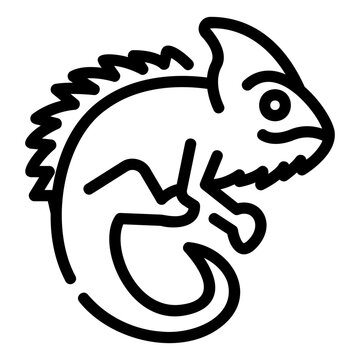 recommend clip art: chameleon Line Icon