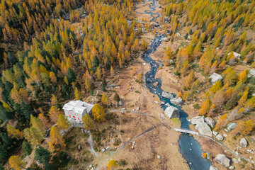 Aerial view of autumn forest in Valmalenco, Italy landscape