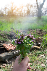 Handpicked wildflowers held in a hand with a rural landscape in the background, bathed in warm sunlight. A tranquil moment in nature on a beautiful spring day