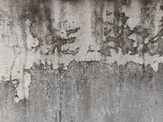 This image features a versatile concrete background, showcasing a textured surface that highlights the raw and industrial beauty of concrete.