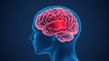 Obraz premium A detailed illustration of a human brain highlighting specific areas in vibrant colors, set against a dark background, depicting neurological functions.