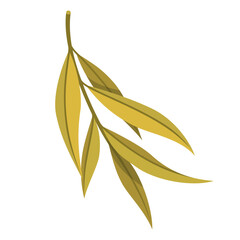 A single willow branch with elongated green leaves set against a clean white background showcasing nature s elegance in detail