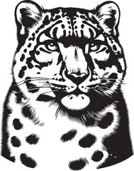 snow leopard vector