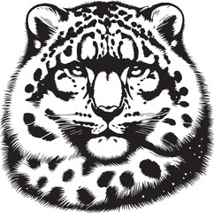 snow leopard vector