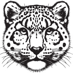 snow leopard vector © Sarmad