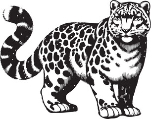 snow leopard vector