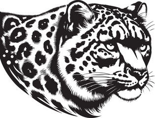 snow leopard vector