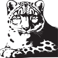 snow leopard vector