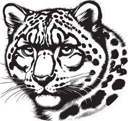 snow leopard vector