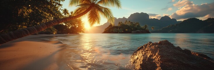 A beautiful beach with a palm tree and a rock. The water is calm and the sky is orange