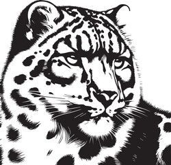 snow leopard vector