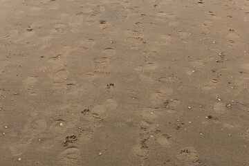 human footprints on the sand