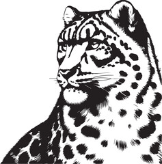 snow leopard vector