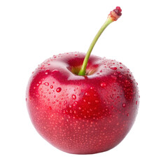A bunch of red cherries on a leafy branch on transparent background