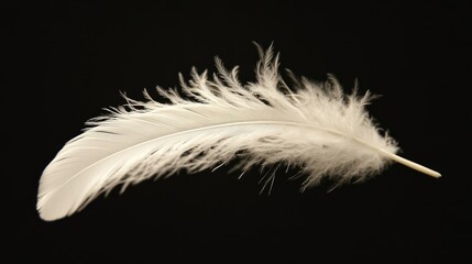 Obraz premium White feather drifting sideways in the air, highlighting its soft and delicate texture.