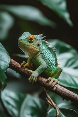 Fototapeta premium A Green Lizard Perched on a Branch in Lush Foliage