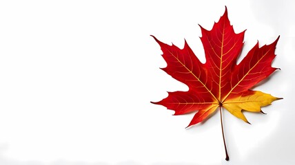 Intricate maple leaf with well-defined veins, isolated against a white background, offering plenty of room for advertising text or branding