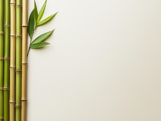 Bamboo plants with green leaves on a light background, showcasing nature's beauty and tranquility.